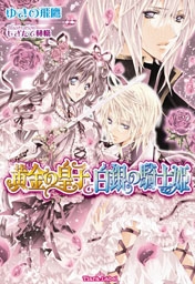 【クリックで詳細表示】【小説】黄金の皇子と白銀の騎士姫