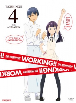 【クリックでお店のこの商品のページへ】【DVD】TV WORKING！！ 4 完全生産限定版